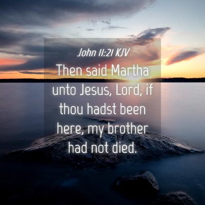 Picture 04 - John 11:21 KJV - Then said Martha unto Jesus, Lord, if thou hadst - Bible Verse Picture