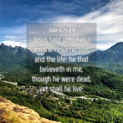 Picture 04 - John 11:25 KJV - Jesus said unto her, I am the resurrection, and - Bible Verse Picture
