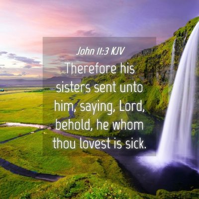 Picture 04 - John 11:3 KJV - Therefore his sisters sent unto him, saying, - Bible Verse Picture