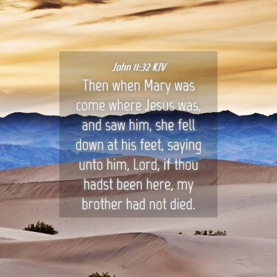 Picture 04 - John 11:32 KJV - Then when Mary was come where Jesus was, and saw - Bible Verse Picture