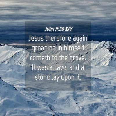 Picture 04 - John 11:38 KJV - Jesus therefore again groaning in himself cometh - Bible Verse Picture