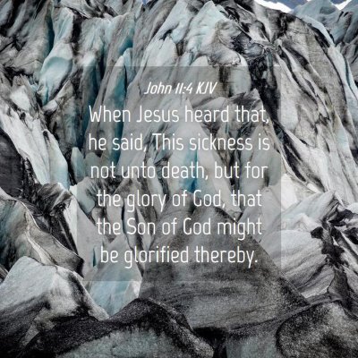 Picture 04 - John 11:4 KJV - When Jesus heard that, he said, This sickness is - Bible Verse Picture