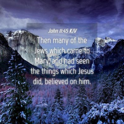 Picture 04 - John 11:45 KJV - Then many of the Jews which came to Mary, and had - Bible Verse Picture
