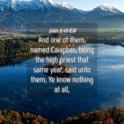 Picture 04 - John 11:49 KJV - And one of them, named Caiaphas, being the high - Bible Verse Picture