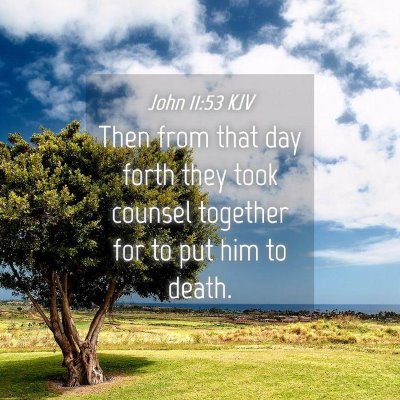 Picture 04 - John 11:53 KJV - Then from that day forth they took counsel - Bible Verse Picture