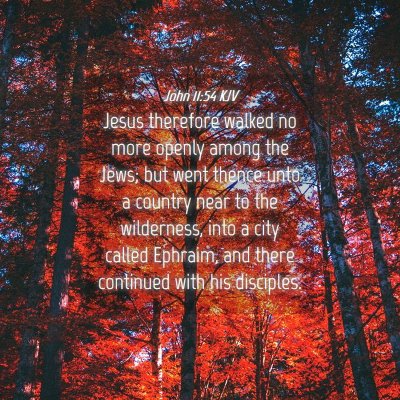 Picture 04 - John 11:54 KJV - Jesus therefore walked no more openly among the - Bible Verse Picture