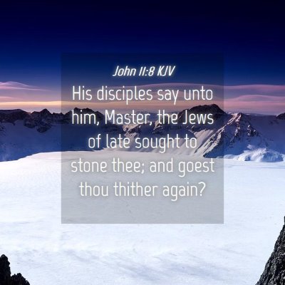 Picture 04 - John 11:8 KJV - His disciples say unto him, Master, the Jews of - Bible Verse Picture