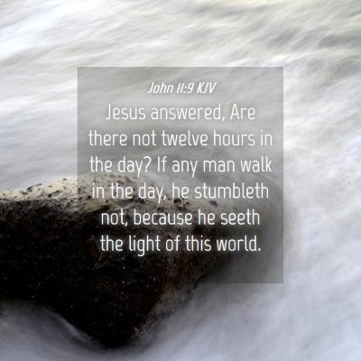 Picture 04 - John 11:9 KJV - Jesus answered, Are there not twelve hours in the - Bible Verse Picture