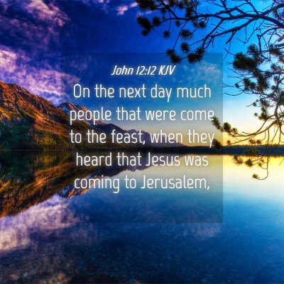 Picture 04 - John 12:12 KJV - On the next day much people that were come to the - Bible Verse Picture