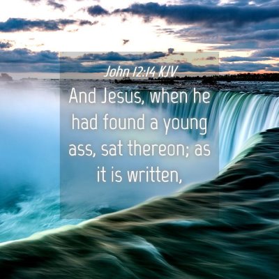 Picture 04 - John 12:14 KJV - And Jesus, when he had found a young ass, sat - Bible Verse Picture