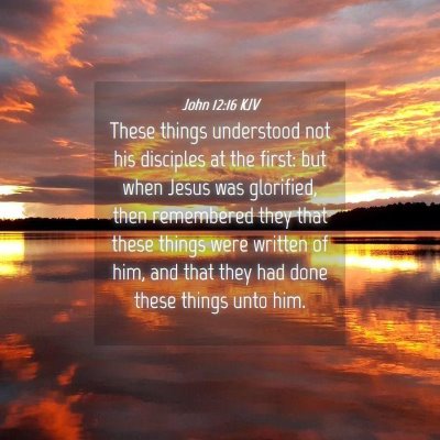 Picture 04 - John 12:16 KJV - These things understood not his disciples at the - Bible Verse Picture