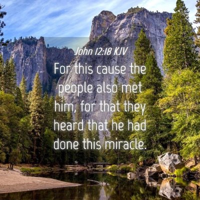 Picture 04 - John 12:18 KJV - For this cause the people also met him, for that - Bible Verse Picture