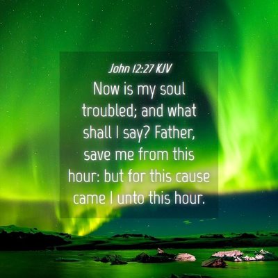 Picture 04 - John 12:27 KJV - Now is my soul troubled; and what shall I say? - Bible Verse Picture