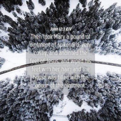 Picture 04 - John 12:3 KJV - Then took Mary a pound of ointment of spikenard, - Bible Verse Picture