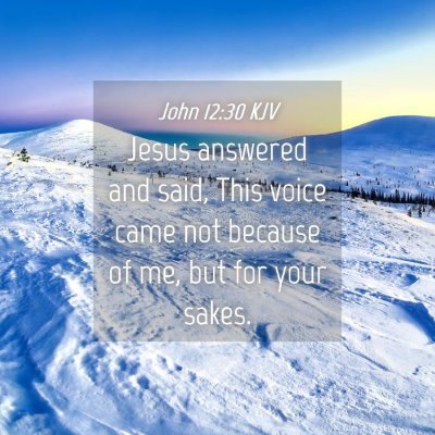 Picture 04 - John 12:30 KJV - Jesus answered and said, This voice came not - Bible Verse Picture