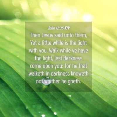 Picture 04 - John 12:35 KJV - Then Jesus said unto them, Yet a little while is - Bible Verse Picture