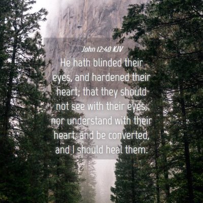 Picture 04 - John 12:40 KJV - He hath blinded their eyes, and hardened their - Bible Verse Picture