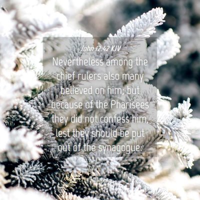 Picture 04 - John 12:42 KJV - Nevertheless among the chief rulers also many - Bible Verse Picture