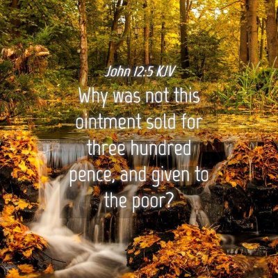 Picture 04 - John 12:5 KJV - Why was not this ointment sold for three hundred - Bible Verse Picture
