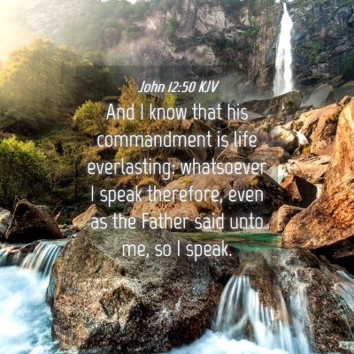 Picture 04 - John 12:50 KJV - And I know that his commandment is life - Bible Verse Picture