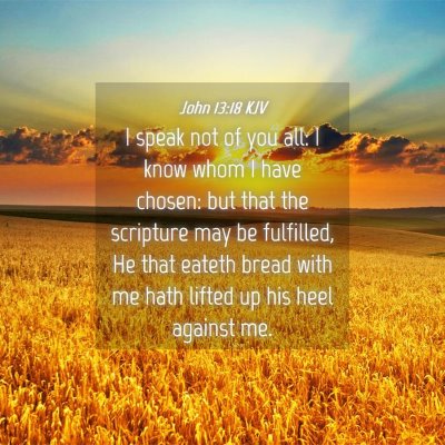 Picture 04 - John 13:18 KJV - I speak not of you all: I know whom I have - Bible Verse Picture