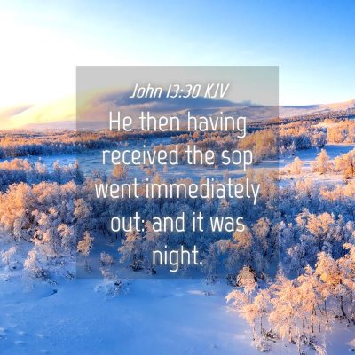 Picture 04 - John 13:30 KJV - He then having received the sop went immediately - Bible Verse Picture