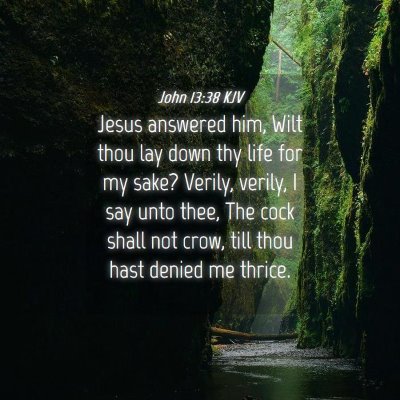 Picture 04 - John 13:38 KJV - Jesus answered him, Wilt thou lay down thy life - Bible Verse Picture