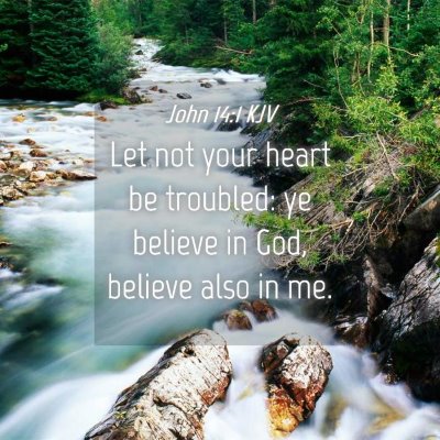 Picture 04 - John 14:1 KJV - Let not your heart be troubled: ye believe in - Bible Verse Picture
