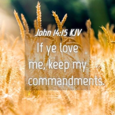 Picture 04 - John 14:15 KJV - If ye love me, keep my - Bible Verse Picture