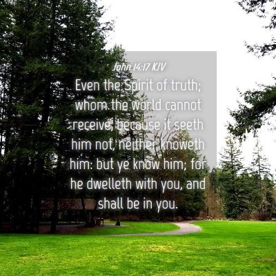 Picture 04 - John 14:17 KJV - Even the Spirit of truth; whom the world cannot - Bible Verse Picture