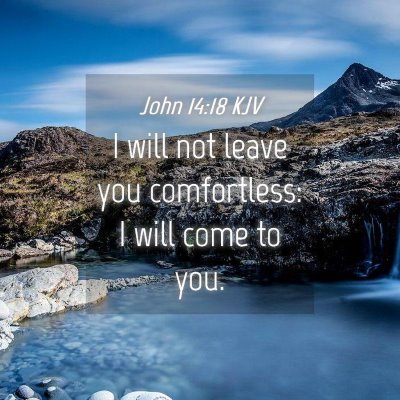Picture 04 - John 14:18 KJV - I will not leave you comfortless: I will come to - Bible Verse Picture