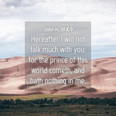 Picture 04 - John 14:30 KJV - Hereafter I will not talk much with you: for the - Bible Verse Picture