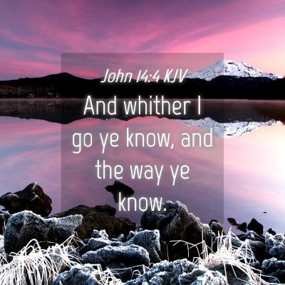 Picture 04 - John 14:4 KJV - And whither I go ye know, and the way ye - Bible Verse Picture