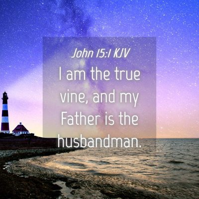 Picture 04 - John 15:1 KJV - I am the true vine, and my Father is the - Bible Verse Picture