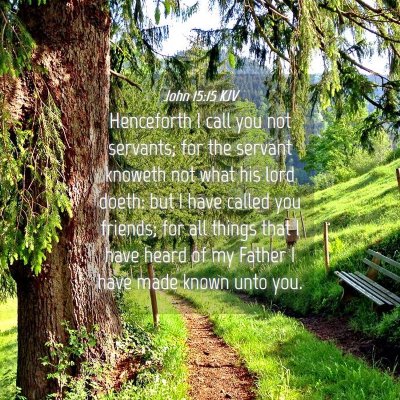 Picture 04 - John 15:15 KJV - Henceforth I call you not servants; for the - Bible Verse Picture