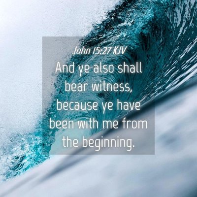 Picture 04 - John 15:27 KJV - And ye also shall bear witness, because ye have - Bible Verse Picture