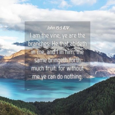 Picture 04 - John 15:5 KJV - I am the vine, ye are the branches: He that - Bible Verse Picture