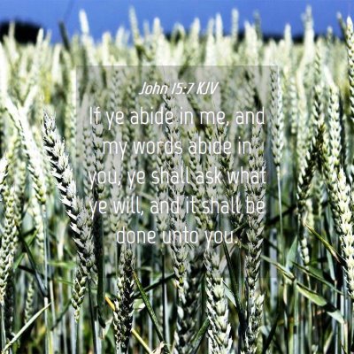 Picture 04 - John 15:7 KJV - If ye abide in me, and my words abide in you, ye - Bible Verse Picture