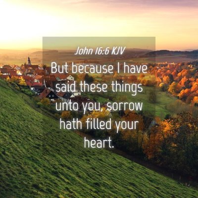 Picture 04 - John 16:6 KJV - But because I have said these things unto you, - Bible Verse Picture