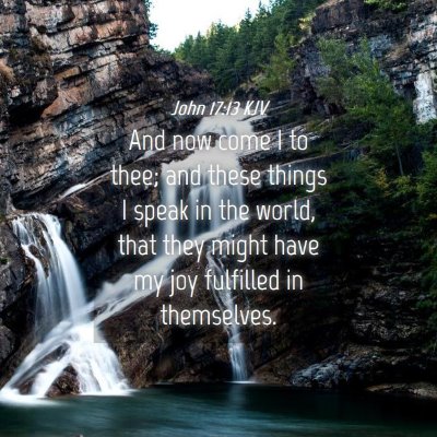 Picture 04 - John 17:13 KJV - And now come I to thee; and these things I speak - Bible Verse Picture