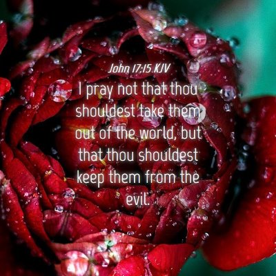Picture 04 - John 17:15 KJV - I pray not that thou shouldest take them out of - Bible Verse Picture