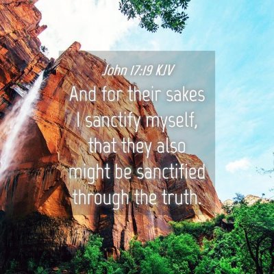 Picture 04 - John 17:19 KJV - And for their sakes I sanctify myself, that they - Bible Verse Picture