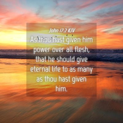 Picture 04 - John 17:2 KJV - As thou hast given him power over all flesh, that - Bible Verse Picture
