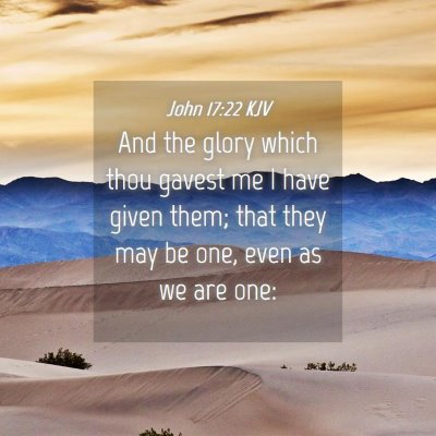 Picture 04 - John 17:22 KJV - And the glory which thou gavest me I have given - Bible Verse Picture