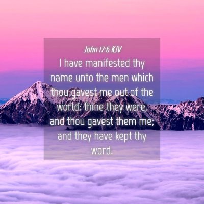 Picture 04 - John 17:6 KJV - I have manifested thy name unto the men which - Bible Verse Picture
