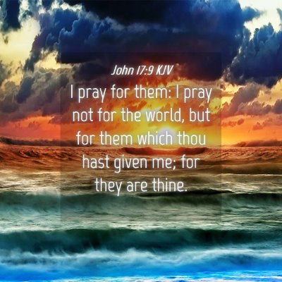 Picture 04 - John 17:9 KJV - I pray for them: I pray not for the world, but - Bible Verse Picture