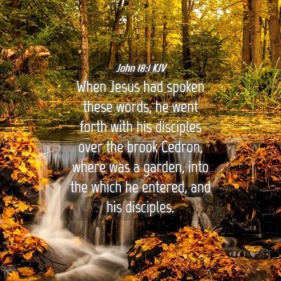 Picture 04 - John 18:1 KJV - When Jesus had spoken these words, he went forth - Bible Verse Picture