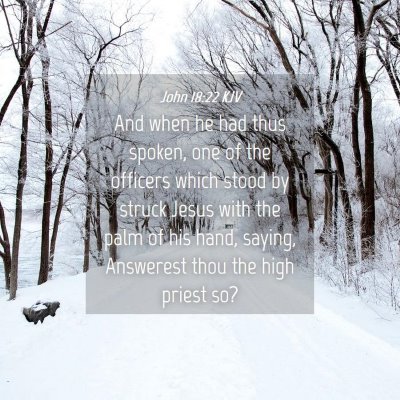 Picture 04 - John 18:22 KJV - And when he had thus spoken, one of the officers - Bible Verse Picture