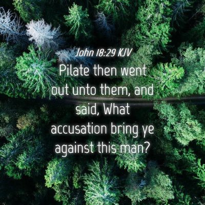 Picture 04 - John 18:29 KJV - Pilate then went out unto them, and said, What - Bible Verse Picture