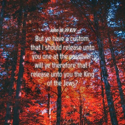 Picture 04 - John 18:39 KJV - But ye have a custom, that I should release unto - Bible Verse Picture